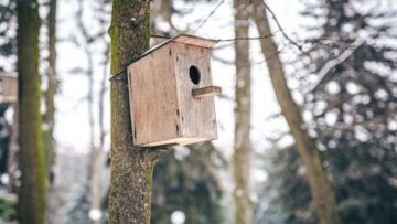 Kolejna edycja miejskiej akcji ochrony ptaków: Białostocki Urząd Miejski rozdaje budki lęgowe