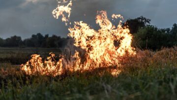 Apel Straży Pożarnej i przyrodników: "Powstrzymajmy wypalanie traw"