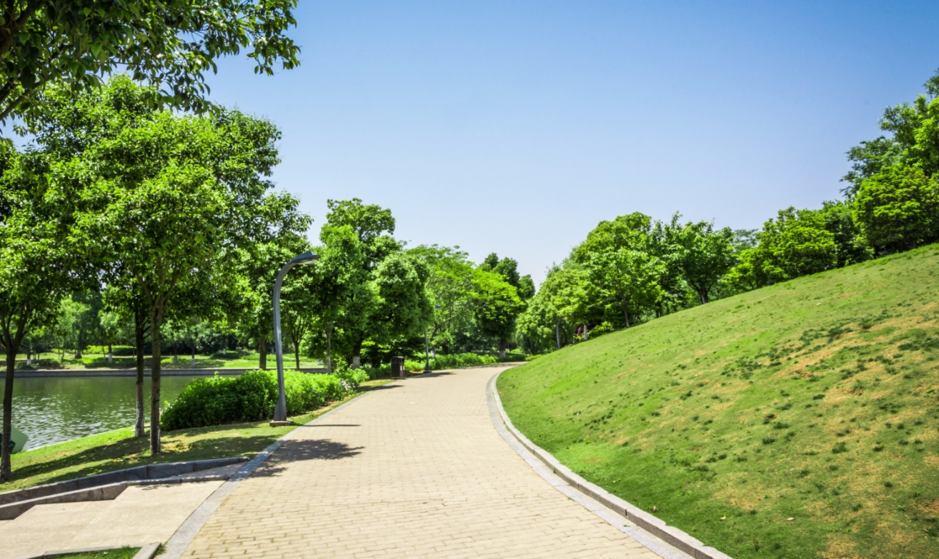 Od uroków lawendy do dostępności – miasto Białystok prezentuje swój czwarty park kieszonkowy
