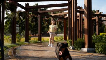 Czwarty park dla psów na horyzoncie — Leśna Dolina w Białymstoku oczekuje na nową inwestycję