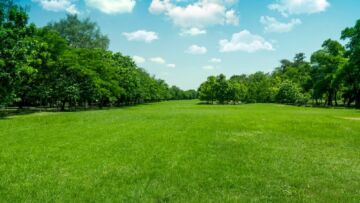 Nowoczesna tężnia solankowa w Parku Planty – zdrowie na wyciągnięcie ręki!