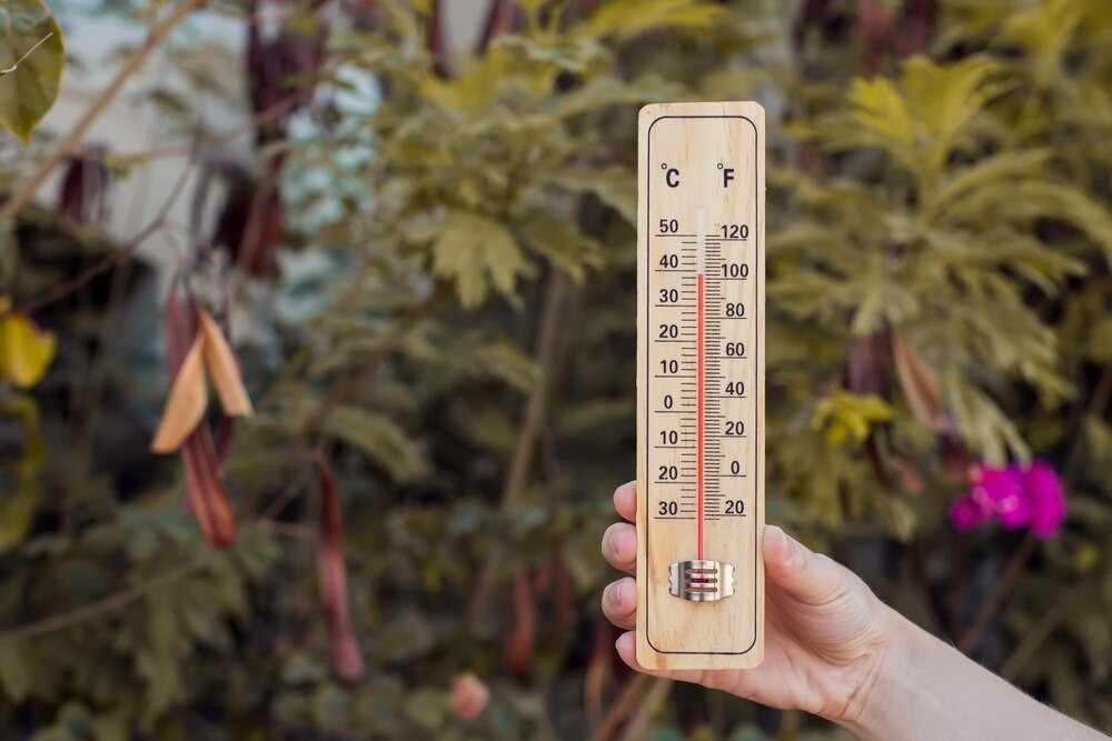 Podlaskie miasta, gdzie słońce nigdy nie gaśnie! Odkryj słoneczne oazy regionu!