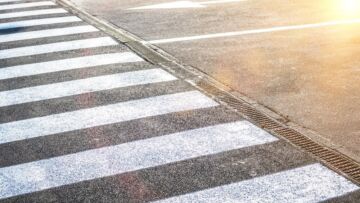 Żubry znów na drodze w Hajnówce – kierowcy muszą zachować ostrożność!