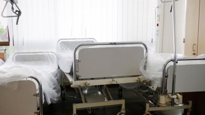 Motyloterapia: odkryj terapeutyczną siłę motyli w cyklu „Pasja i Zdrowie”