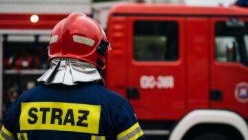 Gniazdo os przy placu zabaw – straż miejska szybko reaguje w Białymstoku