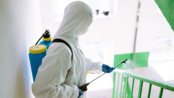 Myślisz, że pluskwy znikną same? Ten błąd może kosztować Cię dużo więcej