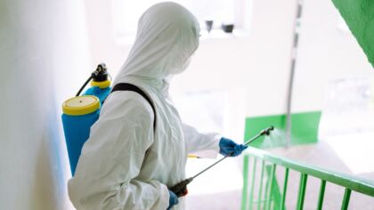 Myślisz, że pluskwy znikną same? Ten błąd może kosztować Cię dużo więcej