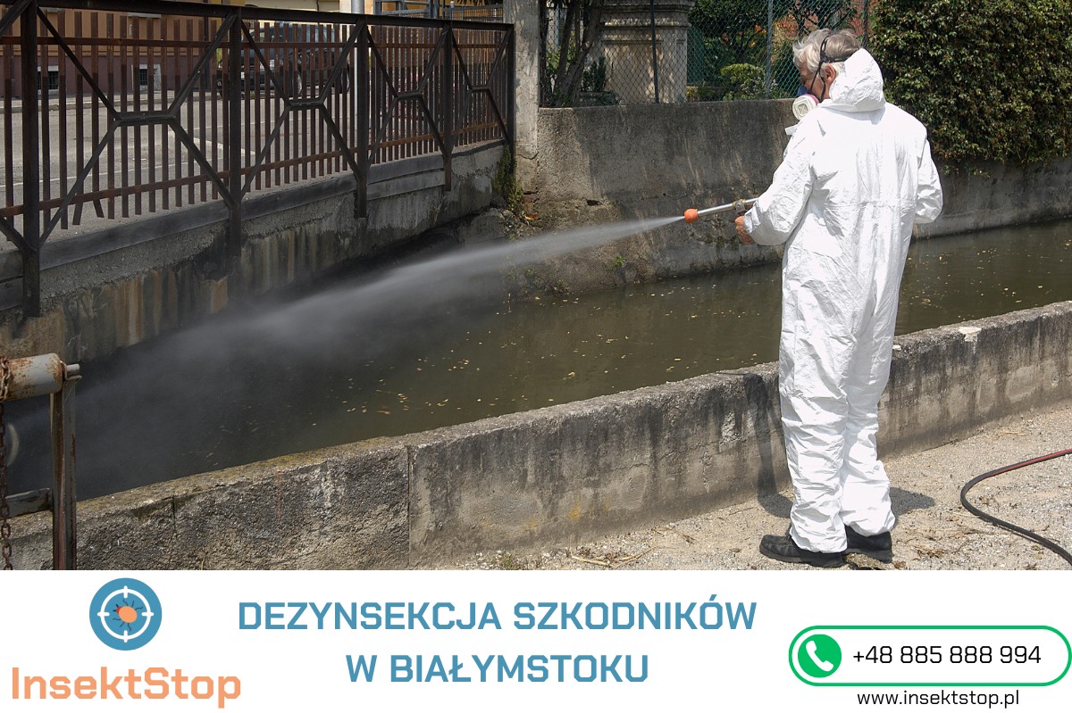 dezynsekcja szkodników w Białymstoku