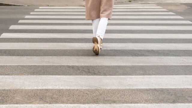 Kolejne potrącenie łosia na trasie Białystok-Łapy – uwaga na dziką zwierzynę!